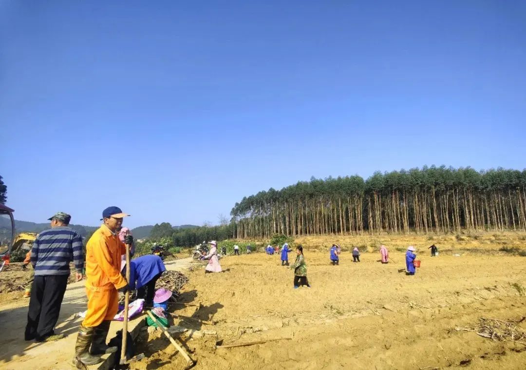 基层农业春耕备耕新闻,各地抢抓农时全力做好春耕备耕