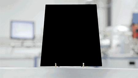 整活小能手,日本作死小能手全集