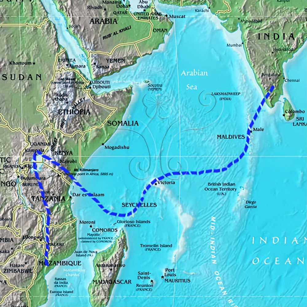 蜻蜓为什么只在夏天出现呢,很多蜻蜓聚集在一处是什么原因