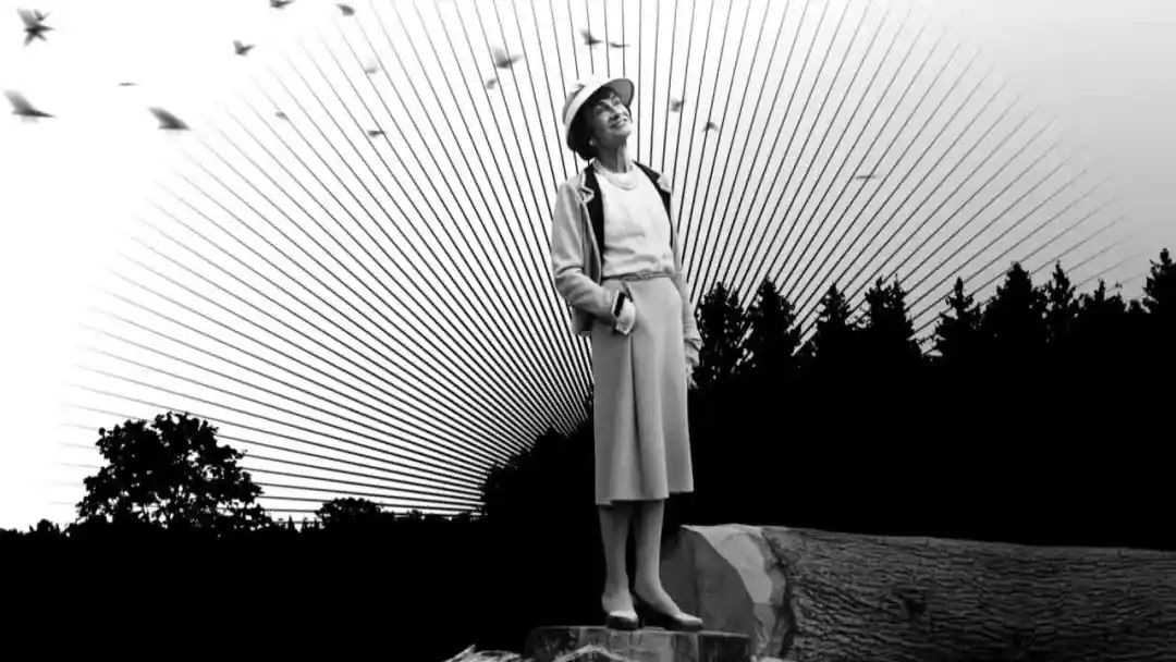 最便宜的香奈儿单品,香奈儿最值得入手的单品是