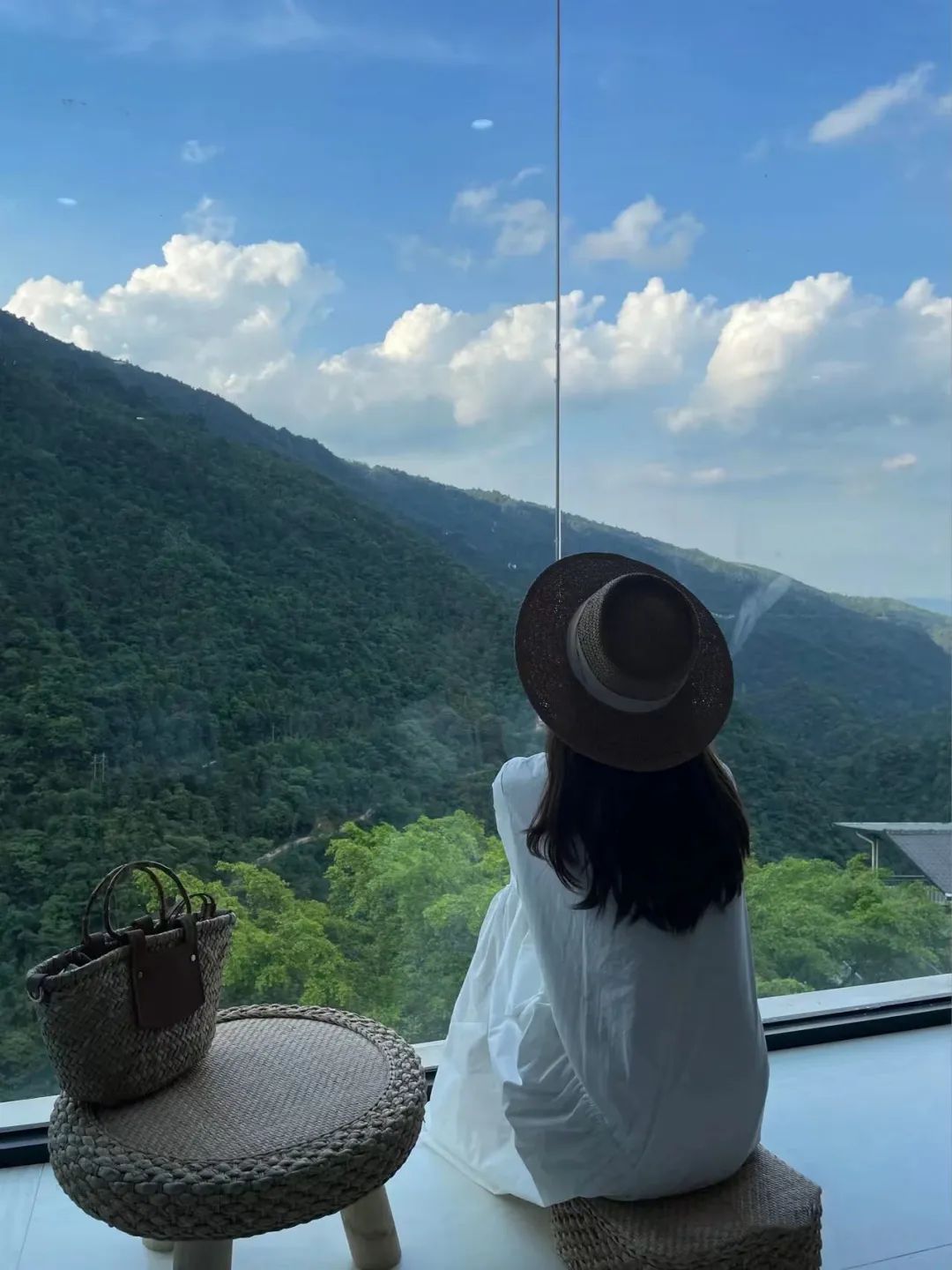 猫咪走太空步原视频最火,猫咪壁虎漫步视频