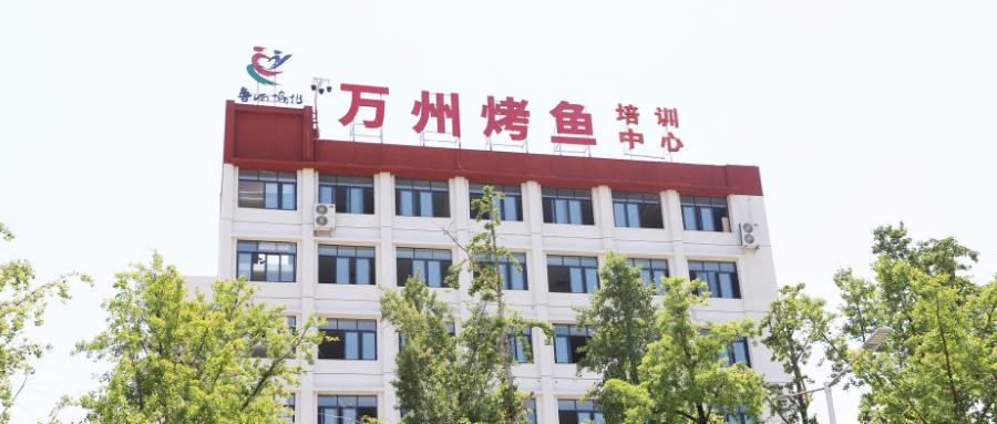 湖北国家补贴免费学餐饮,政府补贴学烹饪