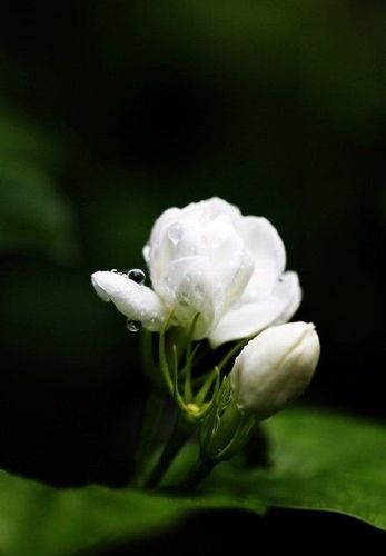 散文内心深处的孤独,散文放松心灵的美好时光