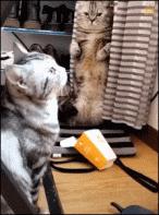 盘点女生坐车到站搞笑名场面,盘点坐火车名场面