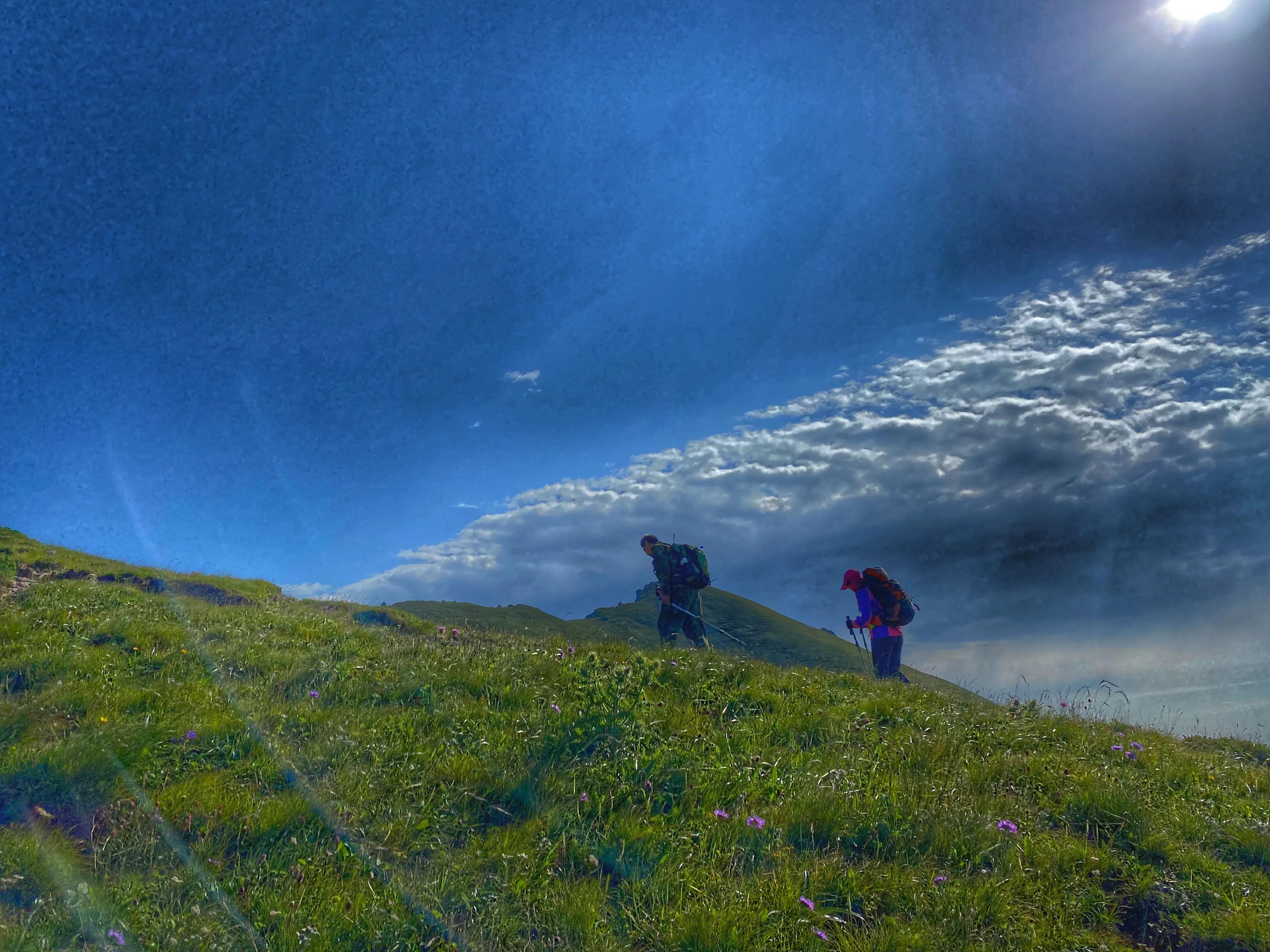 川西高山草甸云海露营,川西高原露营看云海星空