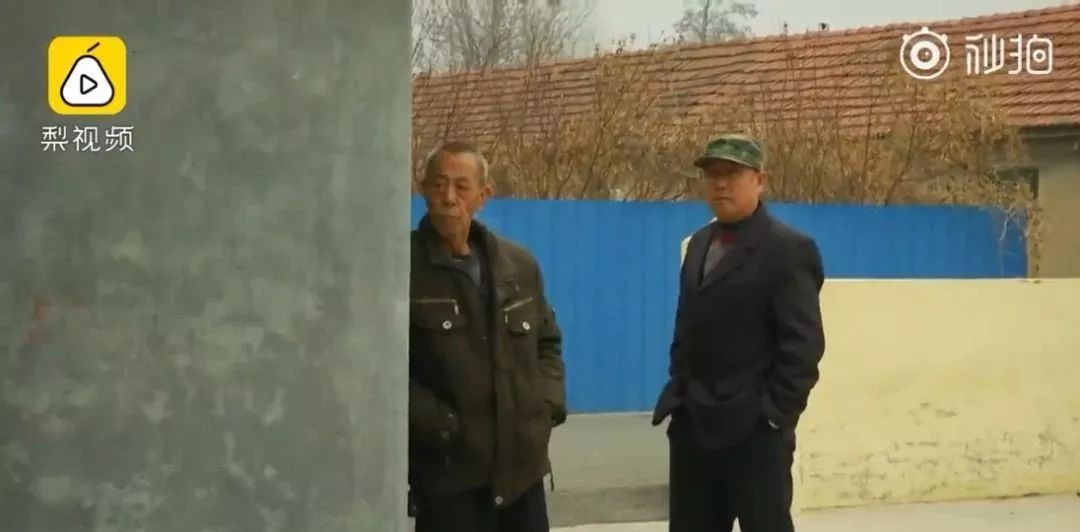 坚蛋健身模式是怎么样的,坚蛋运动健身怎么样