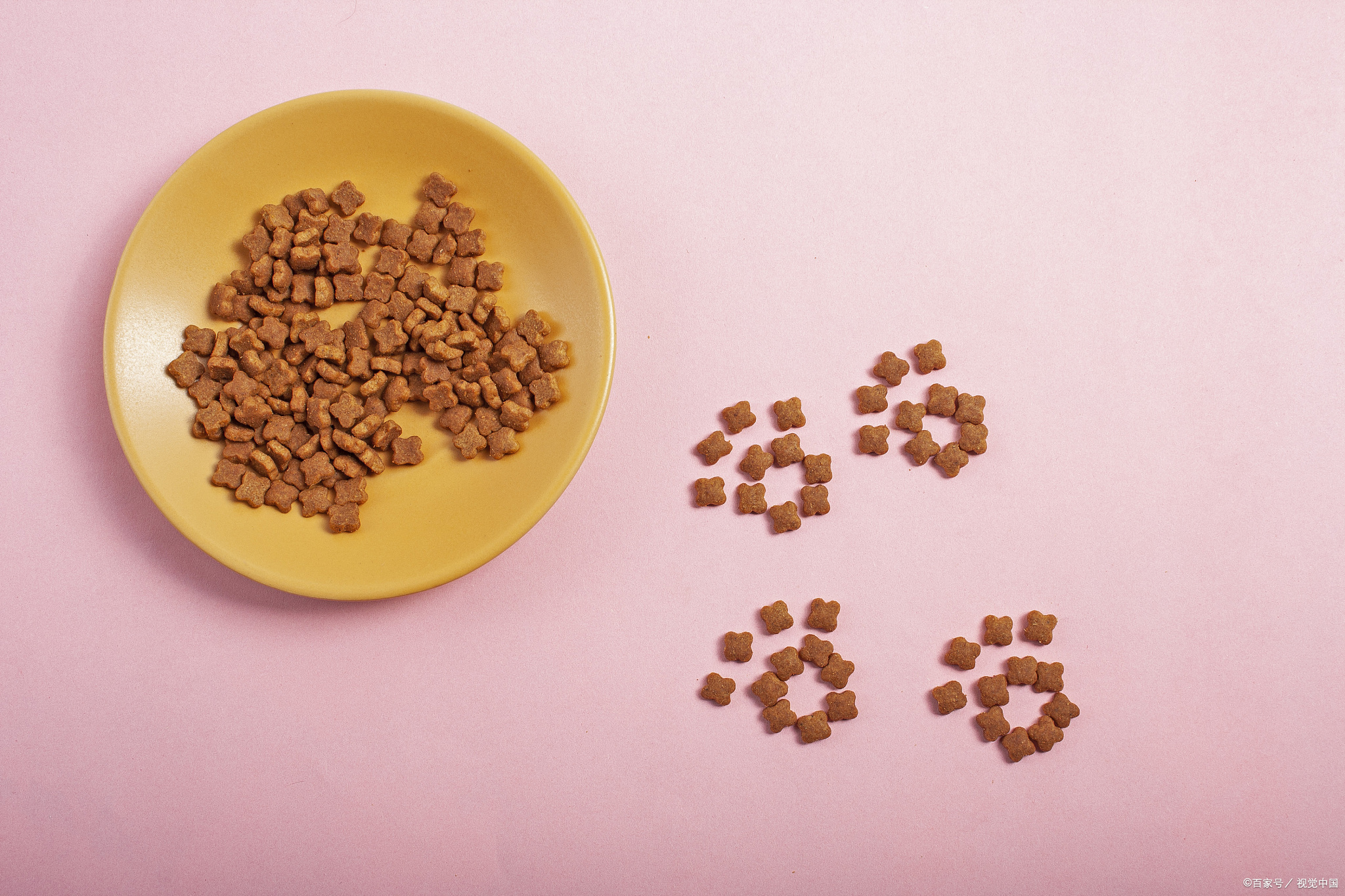 小狗狗粮哪个牌子好,低脂狗粮哪个牌子最好