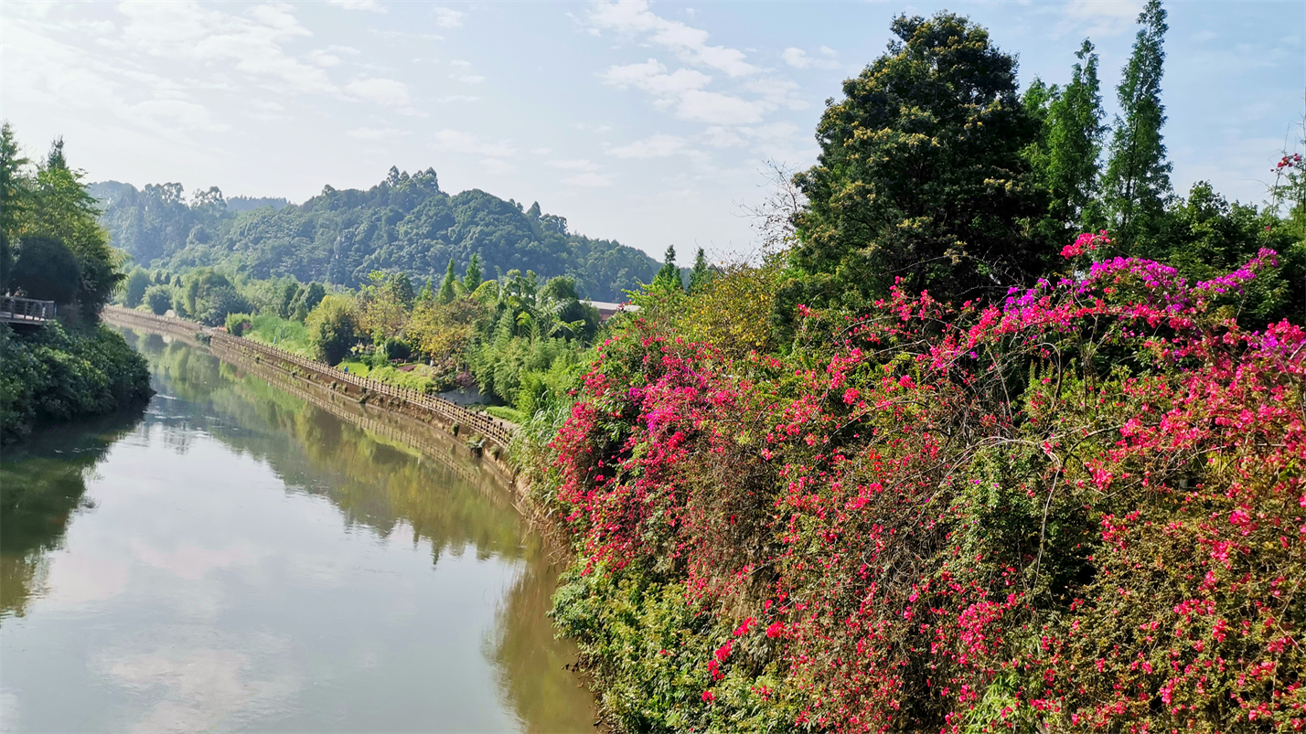 往事如风一切如梦,往事如风人生如梦岁月如歌