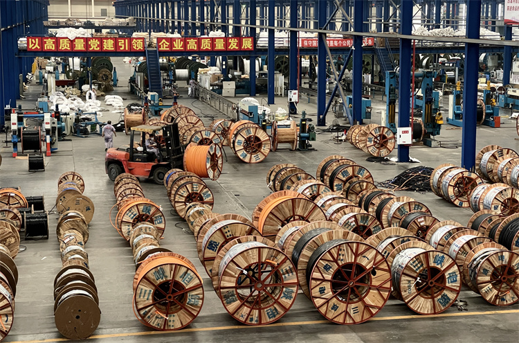 数字化货运平台,数字化网络货运