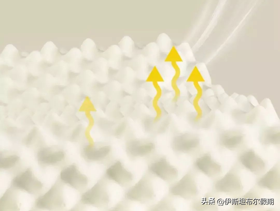 一波好物来袭,一波好物放肆购