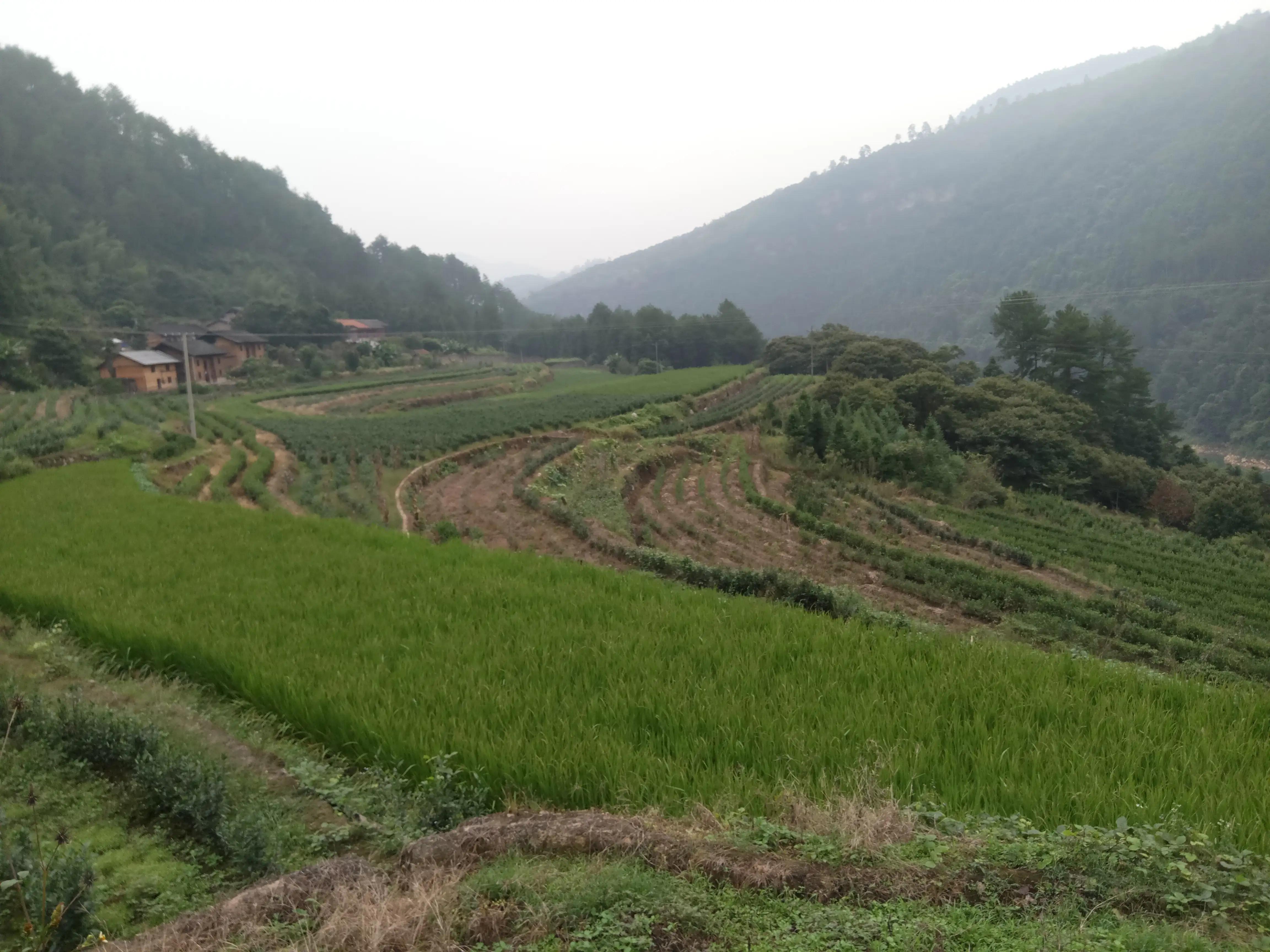 第5章孤独神行者：成长的前世