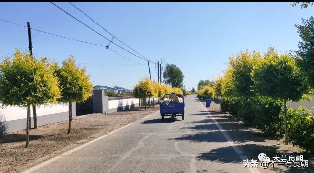 疫情虽然可怕但是我们永不畏惧,疫情依然不容小视