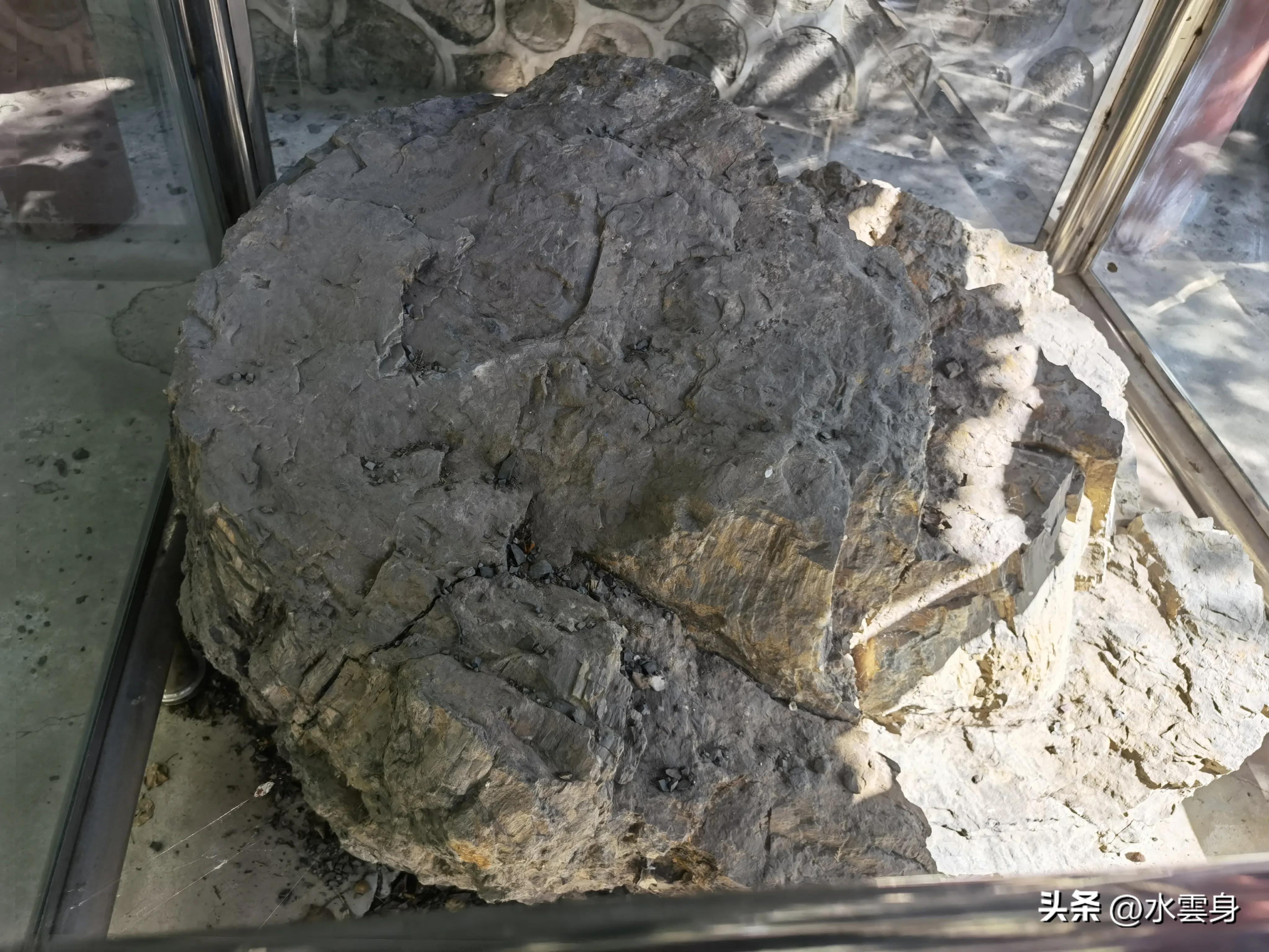 京郊赏花自驾游线路推荐,京郊免费景点一日自驾游路线攻略