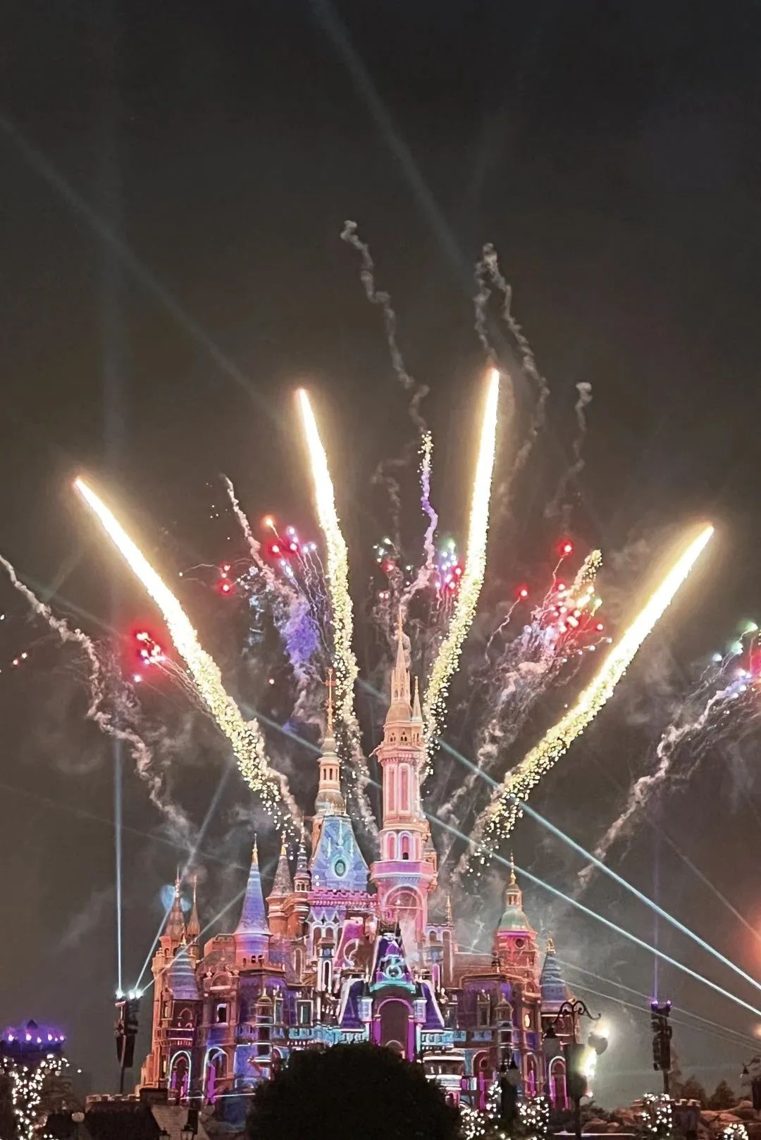 小布摄影团丨魔都夜生活的N种打开方式，快收藏起来→