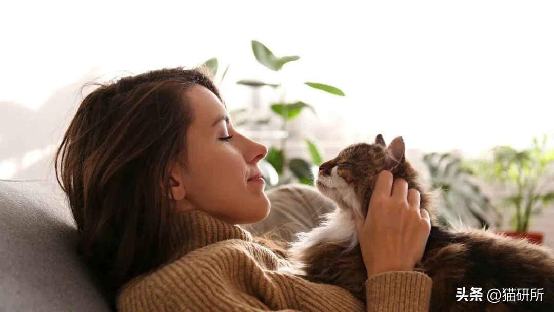 猫咪会嫉妒宠自己的孩子吗,猫咪会嫉妒对另一个小动物好吗