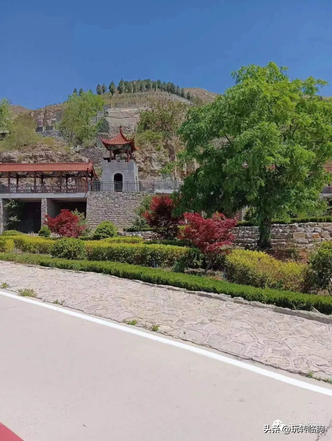 樱花谷无量山,樱花谷风景区
