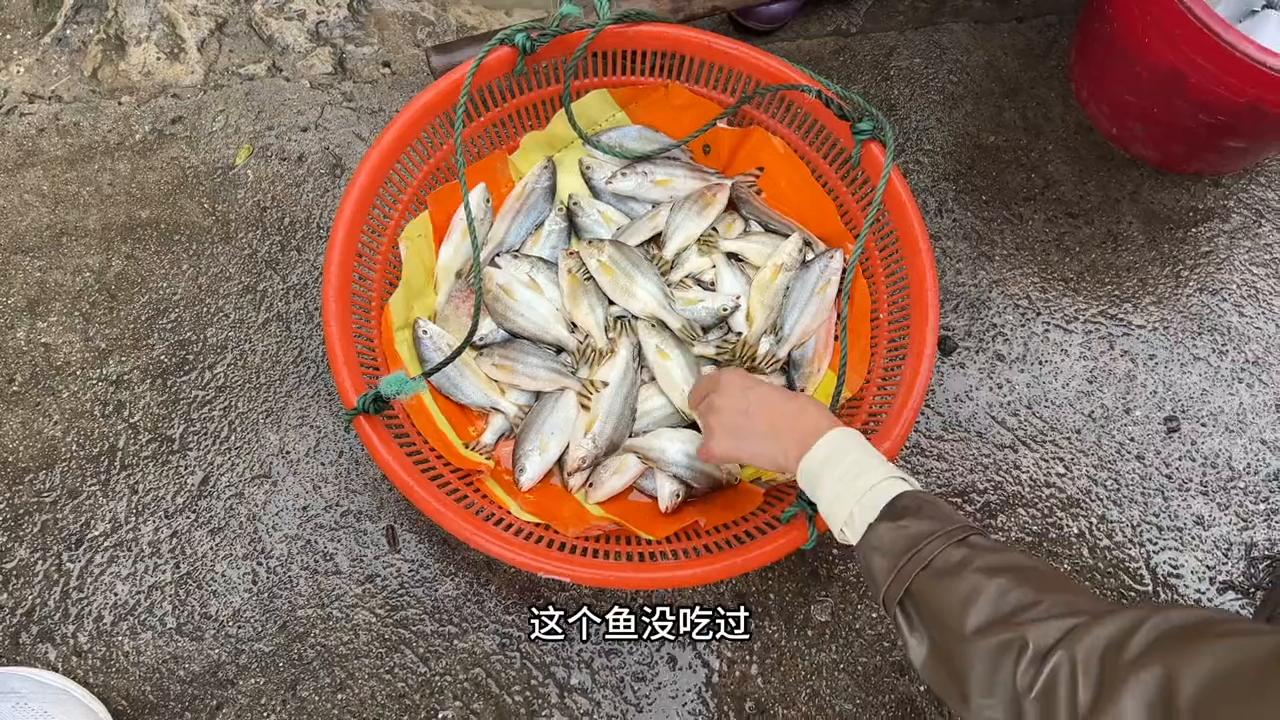 文昌清澜市场,文昌清澜房价