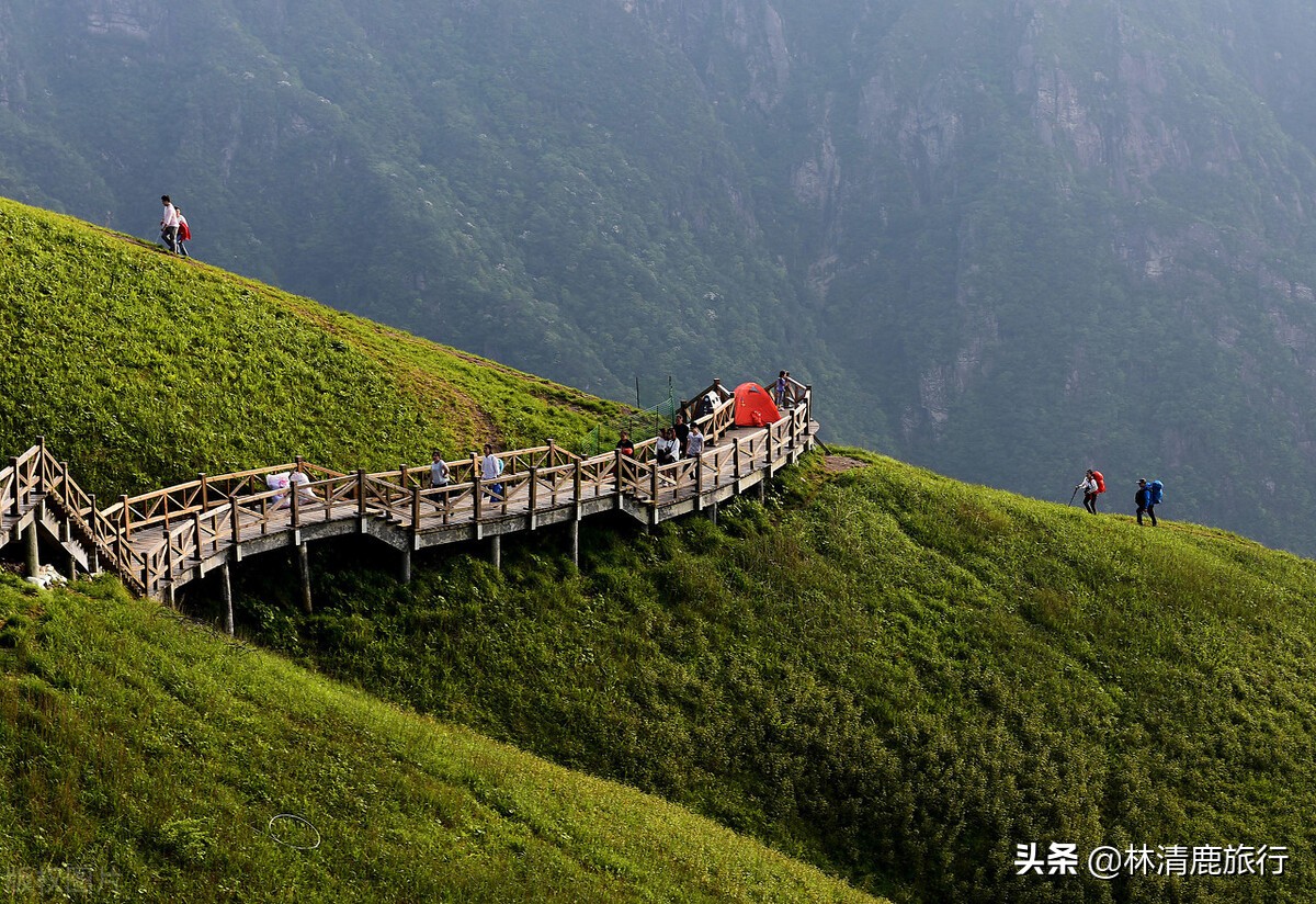 这座180万人口的小城，才是中国吃辣中的王者，煮粥都要放辣椒