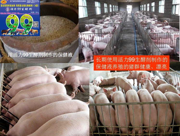 加强型活力99生酵剂—以高浓度乳酸菌，更好用的专业益生菌发酵剂