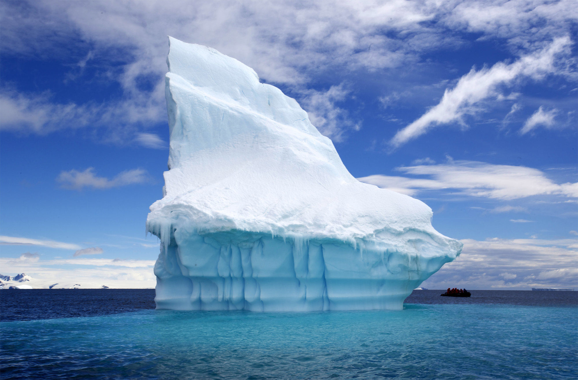 俄罗斯帝王蟹和日本帝王蟹区别,俄罗斯的帝王蟹价格