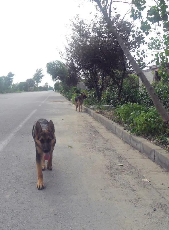 世上只有妈妈好爸爸也不错,世上只有妈妈好爸爸不好吗