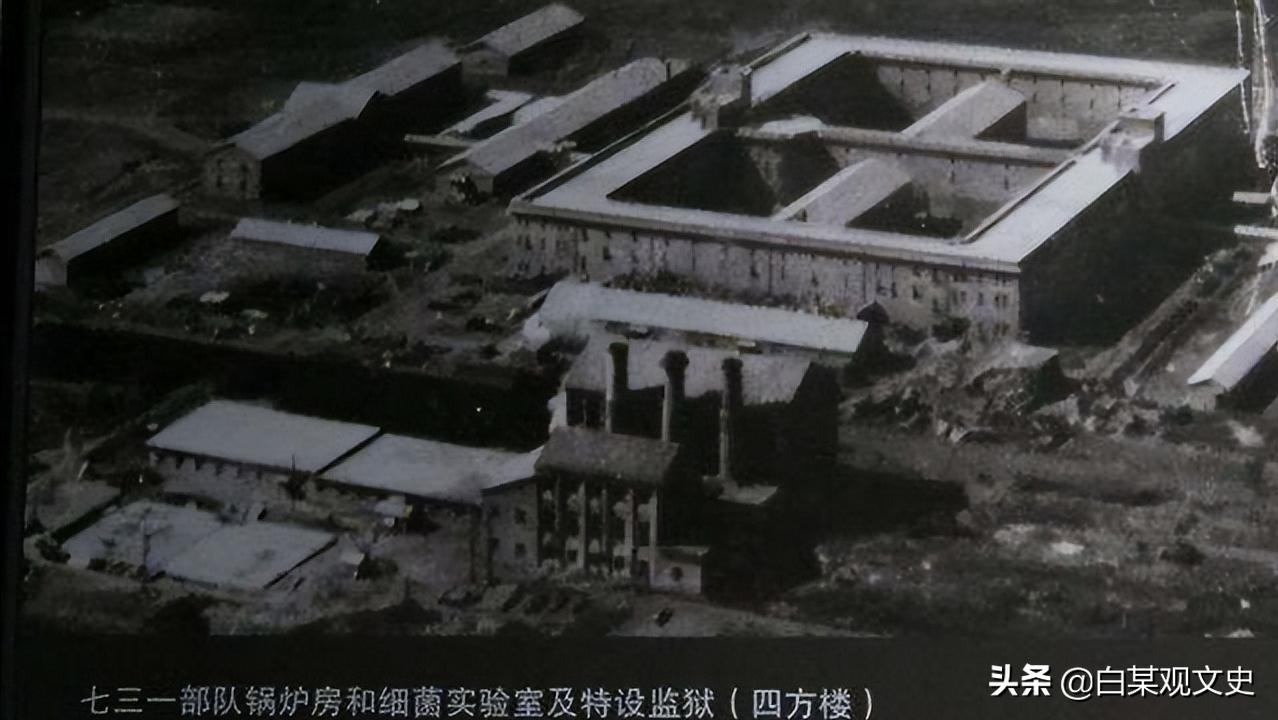 731閮ㄩ槦骞稿瓨涓嬫潵鐨勪汉,731鑰佸叺渚涜堪