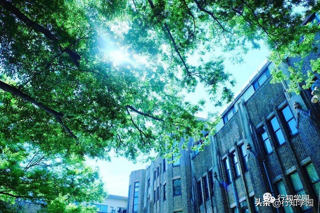 2024qs世界大学排名日本完整榜单,2024qs日本大学世界排名