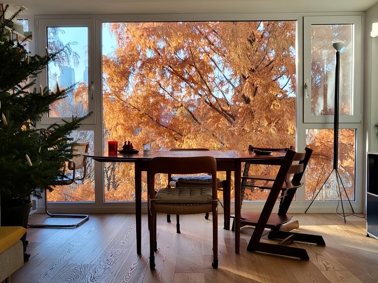 曾风靡一时的“落地窗”，如今为何遭冷遇？原因一目了然