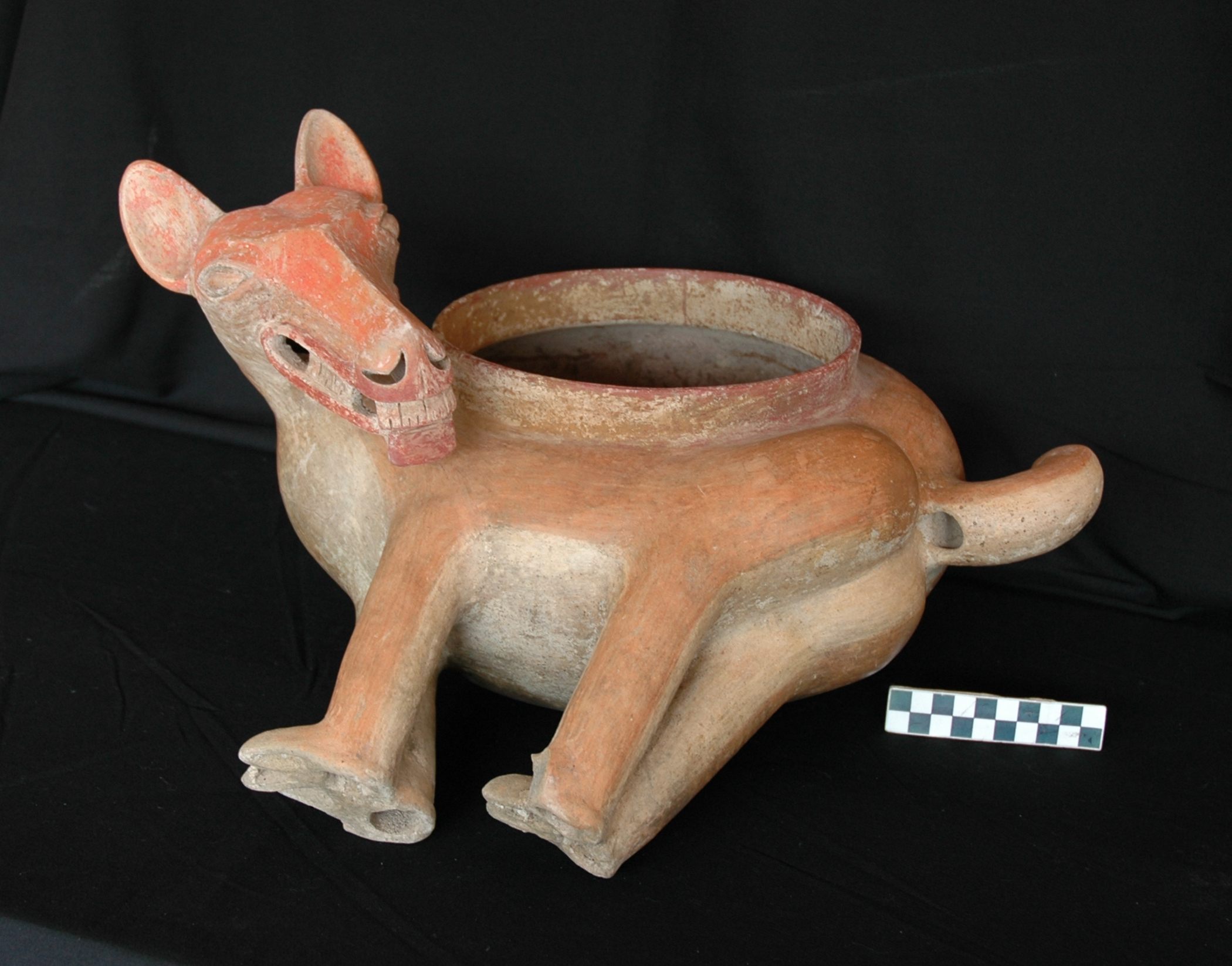 巧克力与死亡——探索玛雅人在葬礼上献上可可的传统