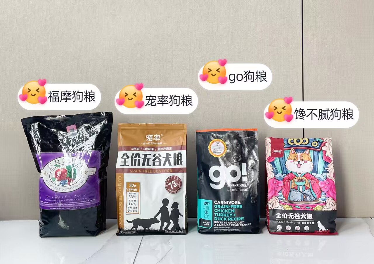 忠诚聪明老实便宜可爱跑得快的狗,什么狗无体味不掉毛聪明好喂养