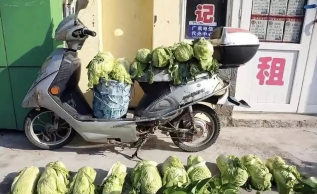 东北人冬天买白菜,盘点东北人买白菜