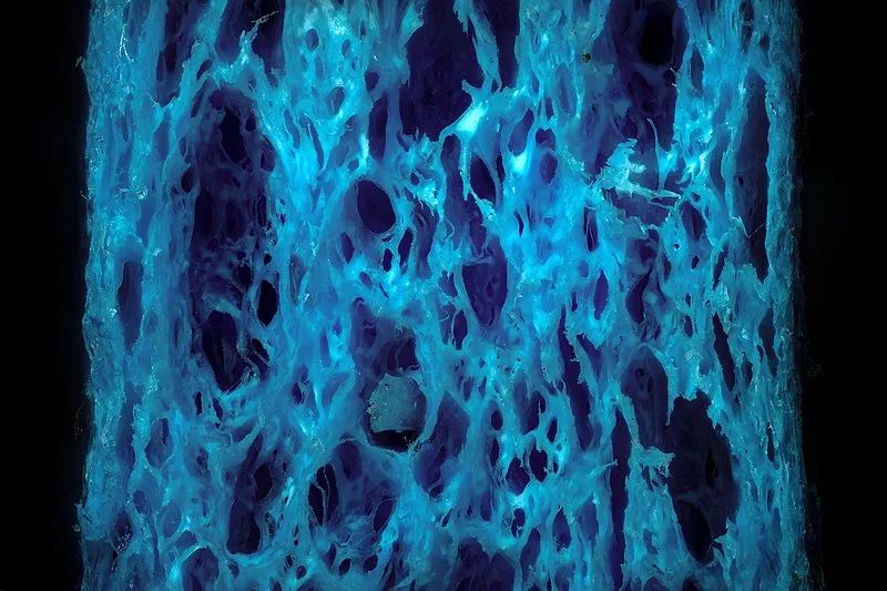 钱和*弹子**都用棉花造，欧洲*火军**商几乎都从我国买它