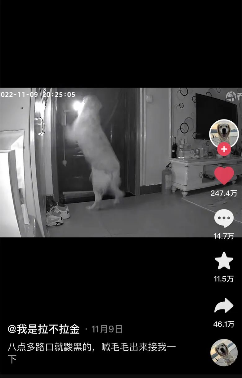 2020年的56个瞬间,我见过一场海啸