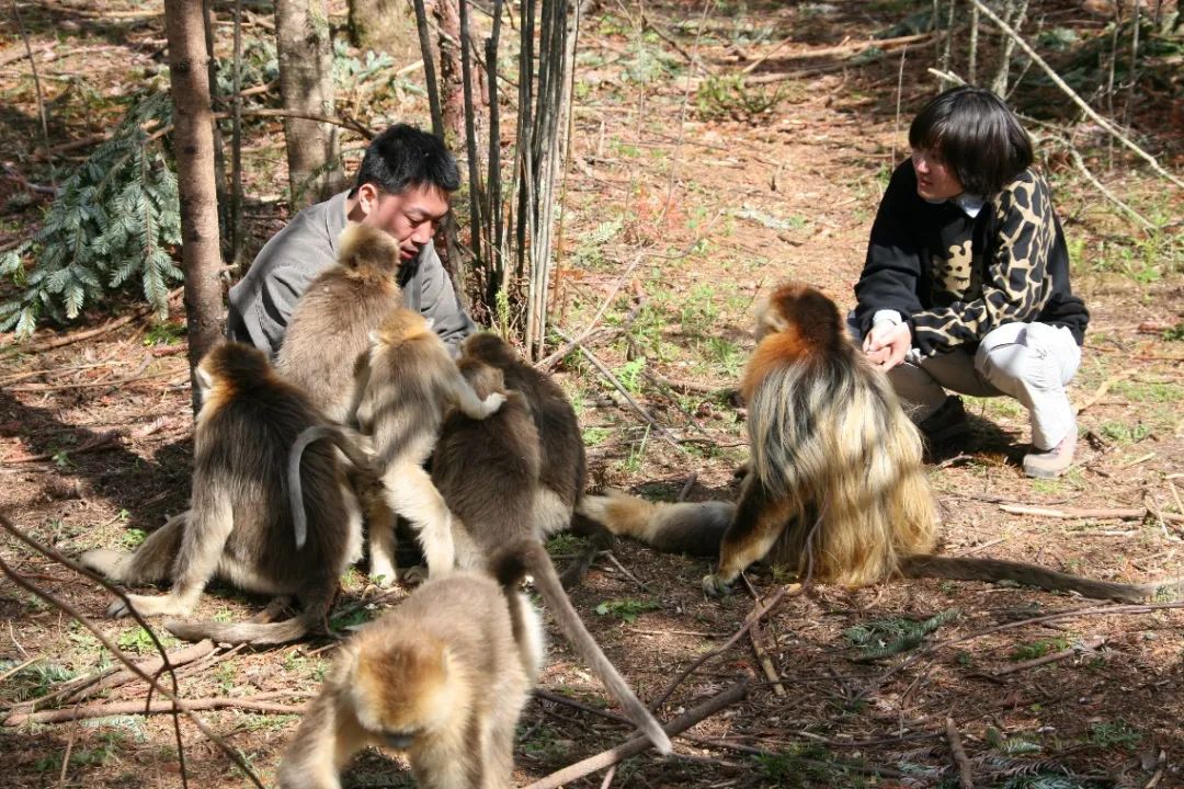 Nature一次又一次发来邀约信，都被他当成学术诈骗邮件……
