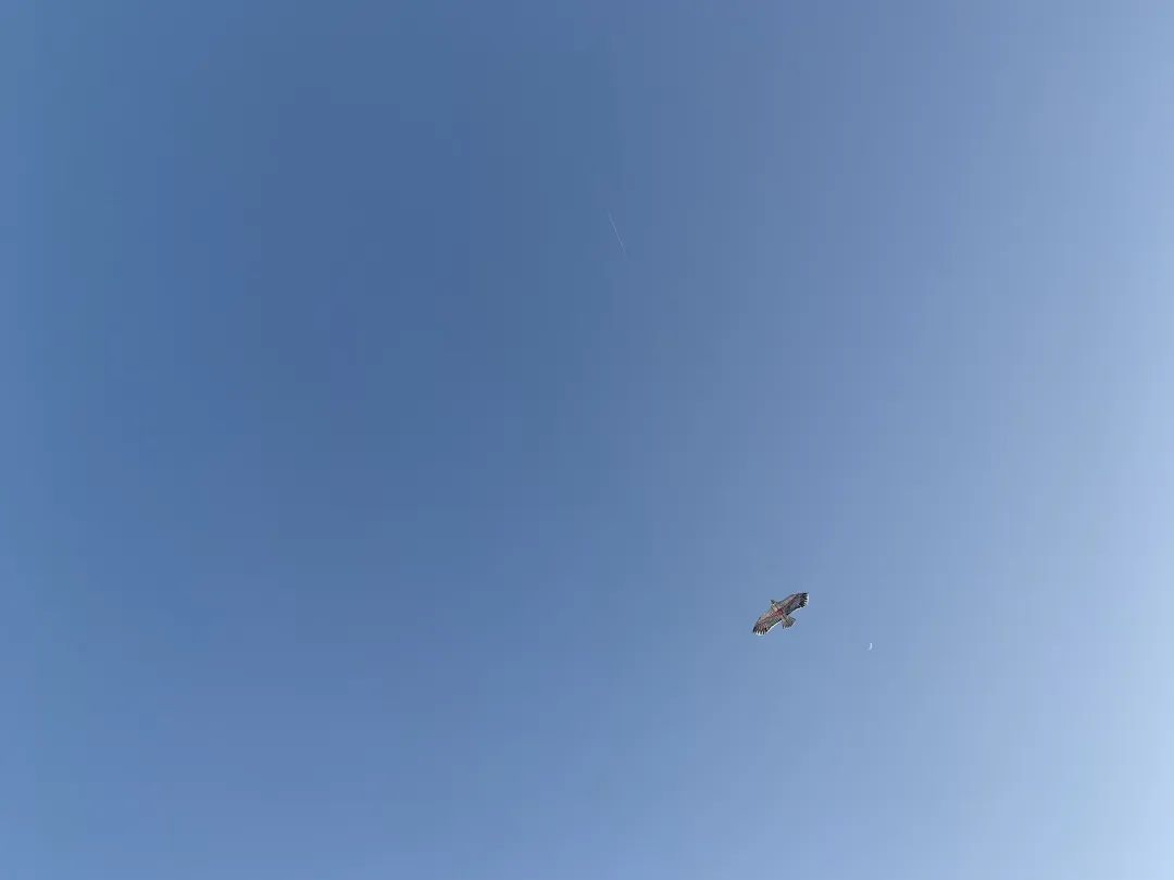 知识改变命运,分享一些提升学习效率的经验