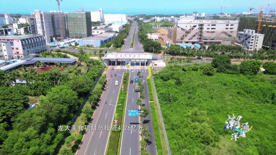 洋浦中国健康食品港,洋浦国际健康食品港