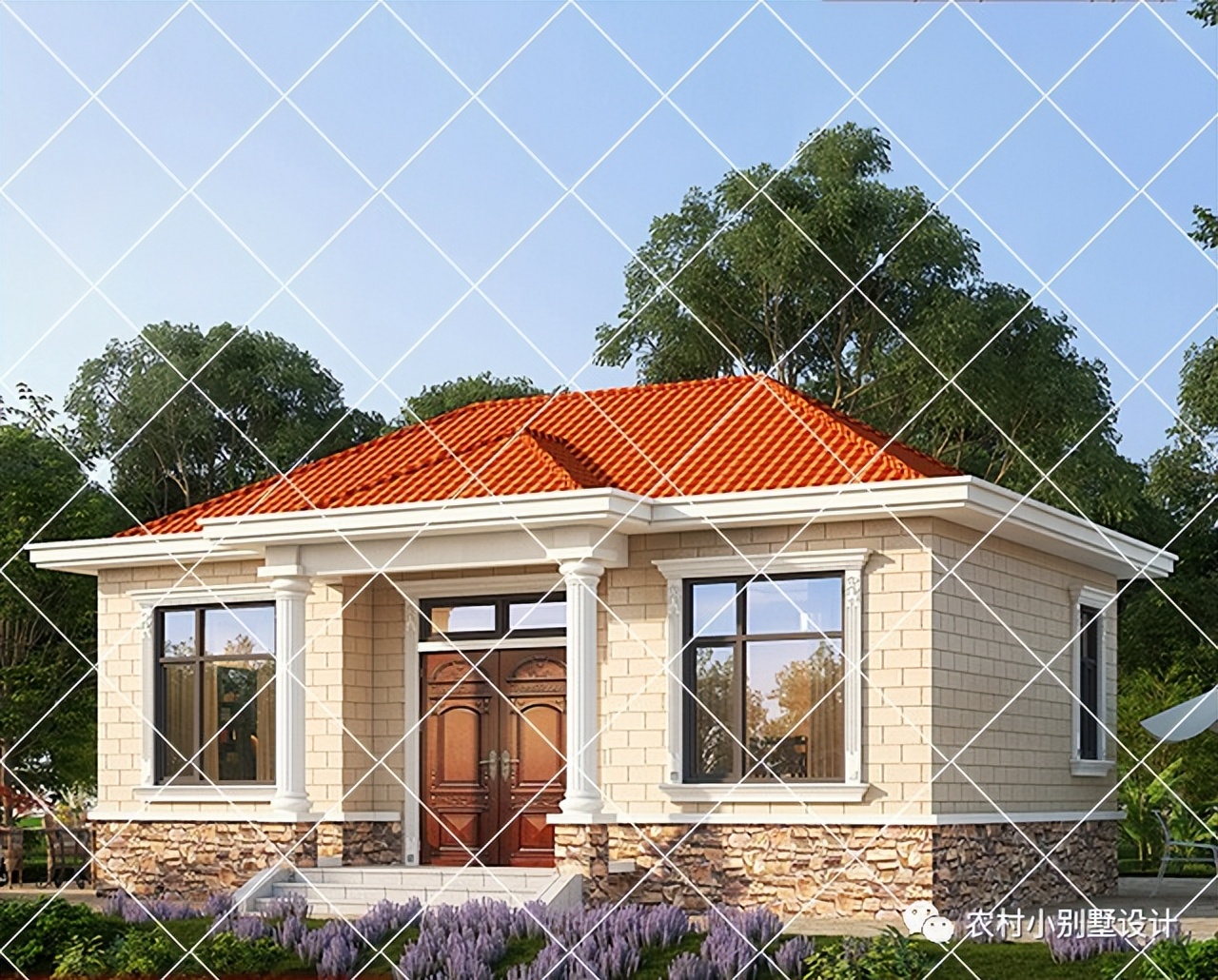 一层半层小别墅新款农村自建房,农村自建房一层别墅设计最新款