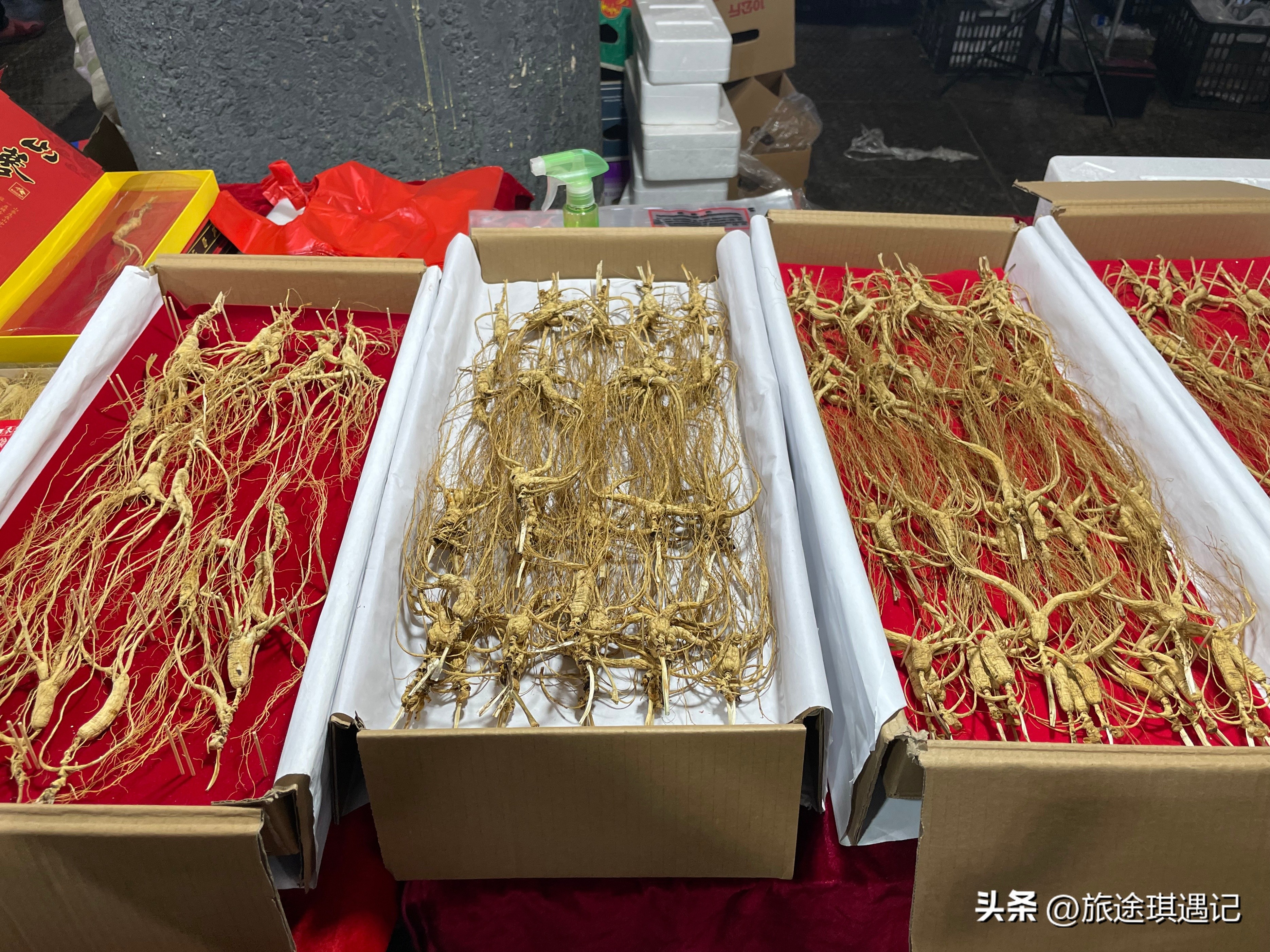 延吉旅游美食和景点,一座来了就不想走的城市昆明