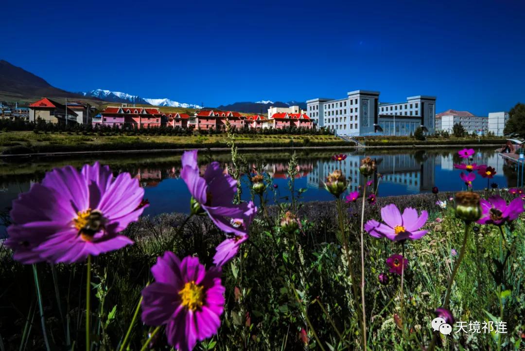 祁连，一座饱含乡愁的小城，是我不愿离开的理由！