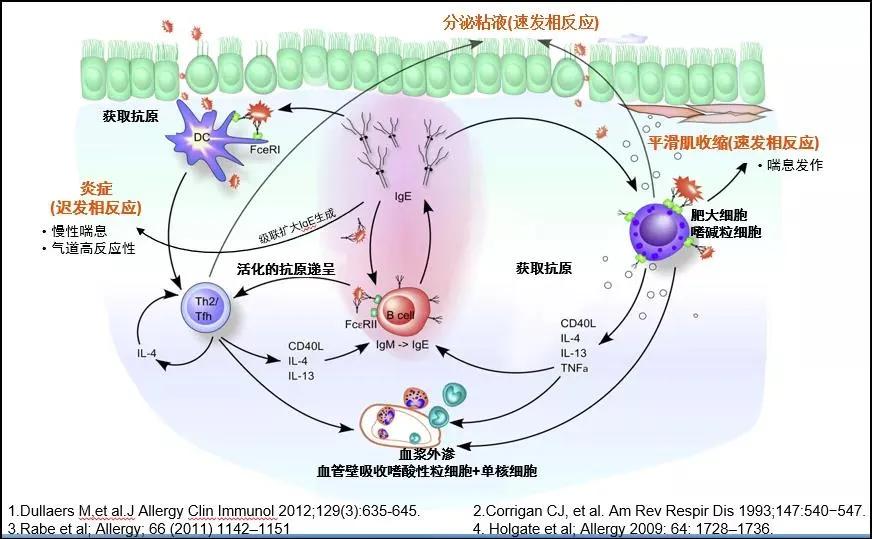 哮喘的诊断与治疗指南pdf,哮喘的监测和护理
