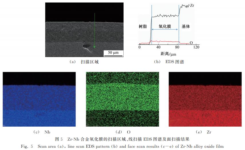 分享：Zr-Nb合金包壳管氧化膜的微观结构