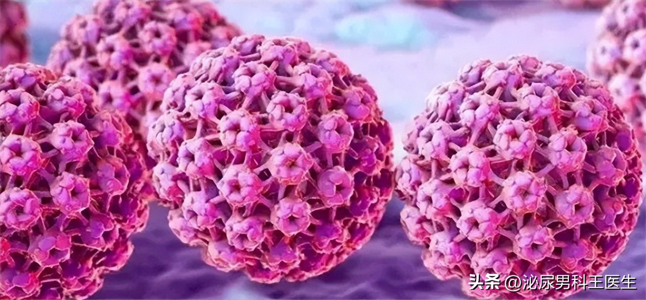 没有和女性接触的人会感染hpv吗,hpv除了性接触还有什么感染途径