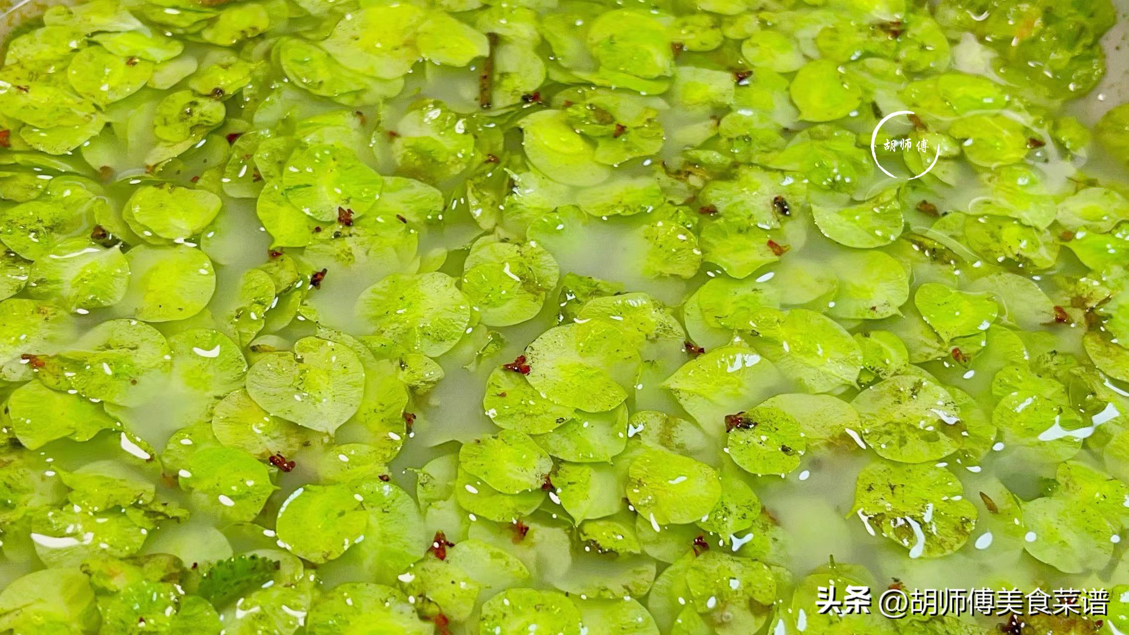 安神助眠的中药吃多长时间有效,安神助眠的西药长期吃