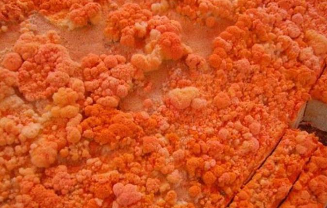 梧州十大小吃,梧州特色小吃视频