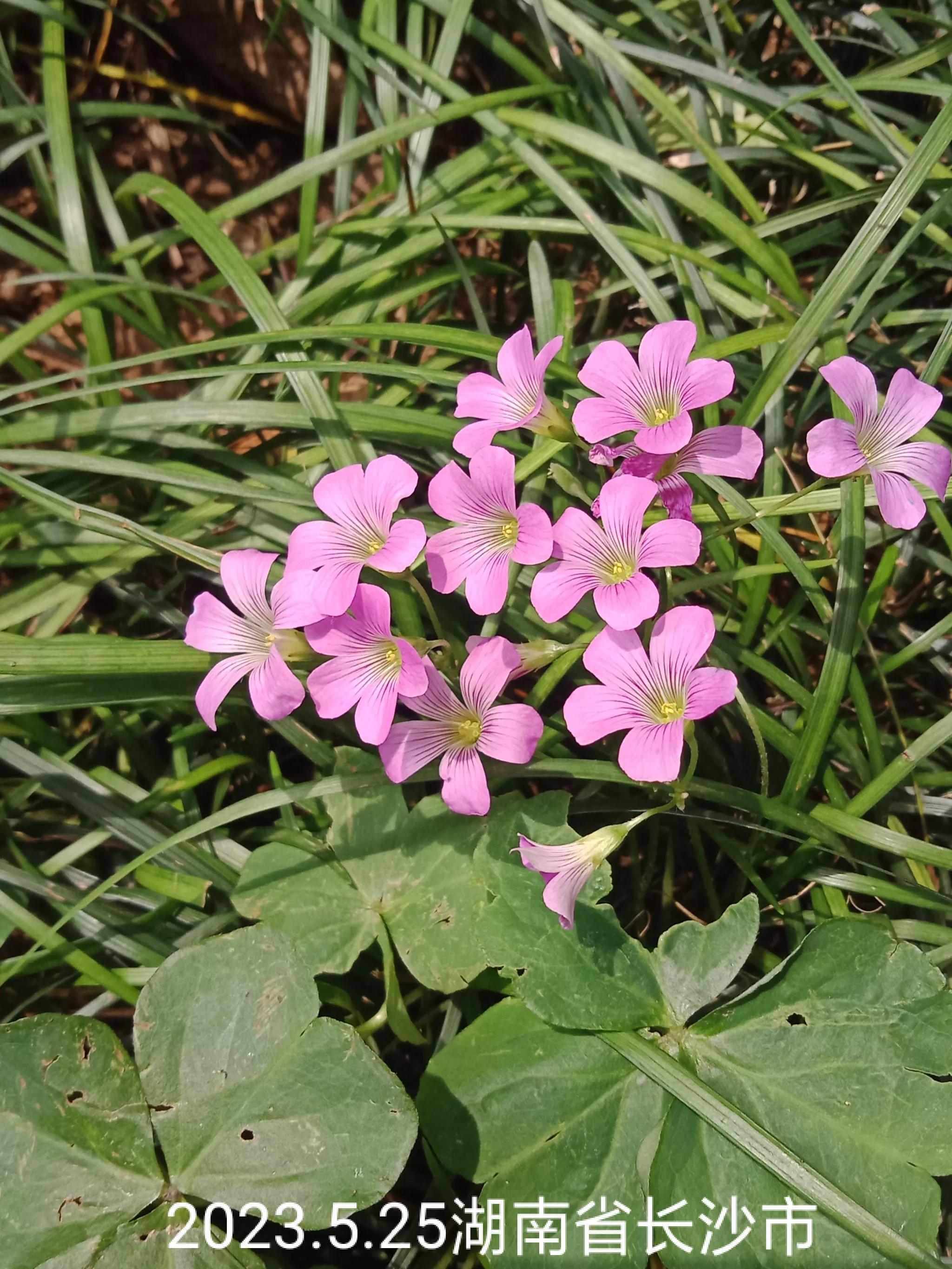 怎么找回没保存丢失的微信群,怎么找回没有保存的微信群