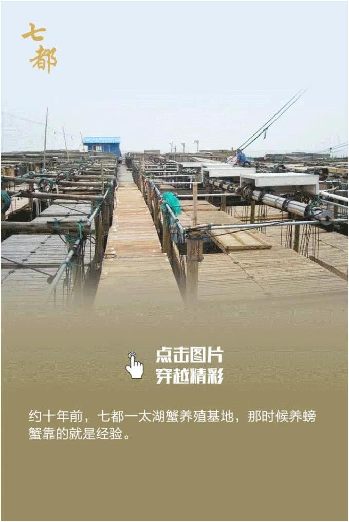 非凡十年|七都镇：全力打造新时代鱼米之乡现实模样