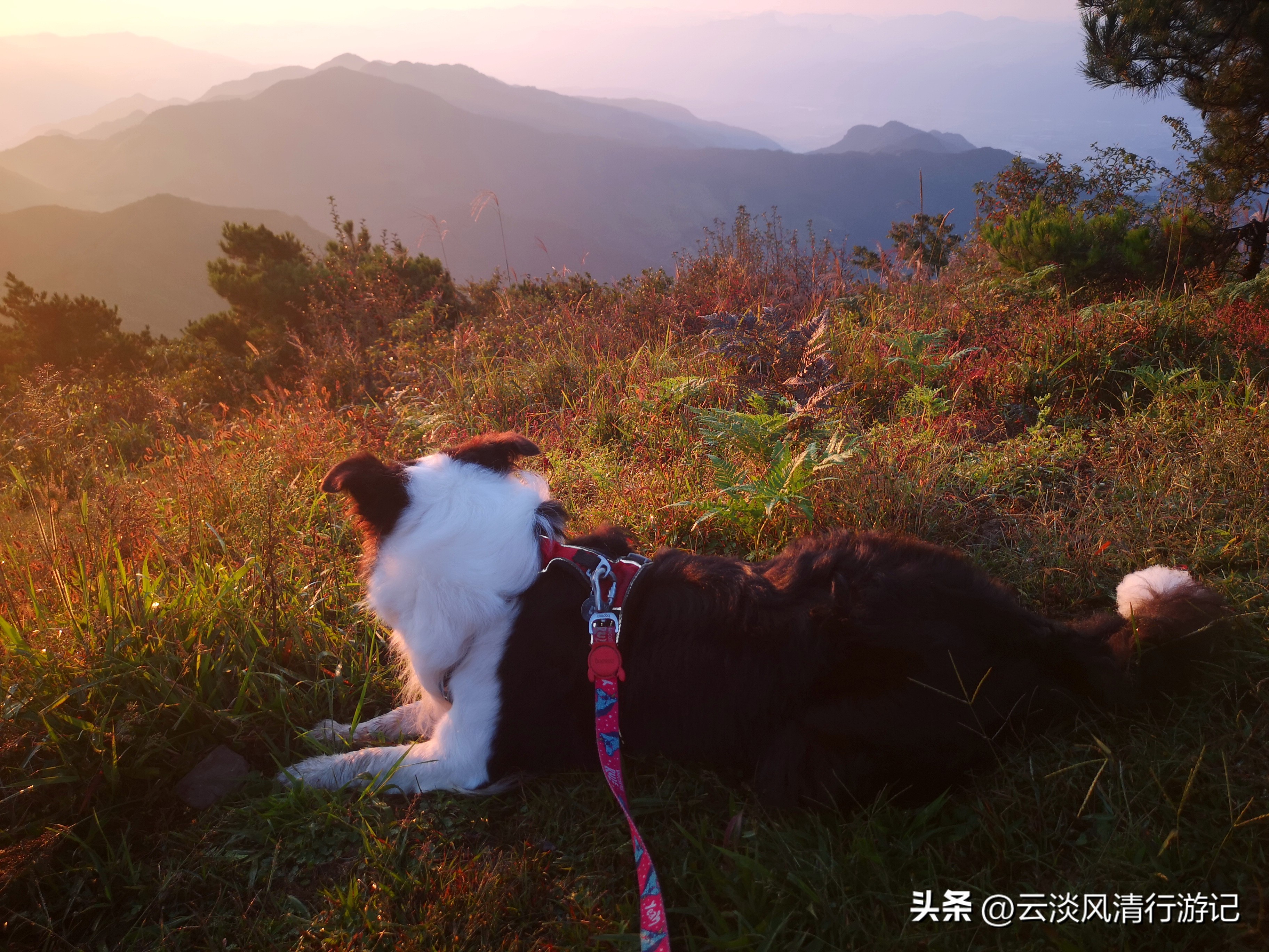 磐安青梅尖自驾游攻略,磐安青梅尖徒步