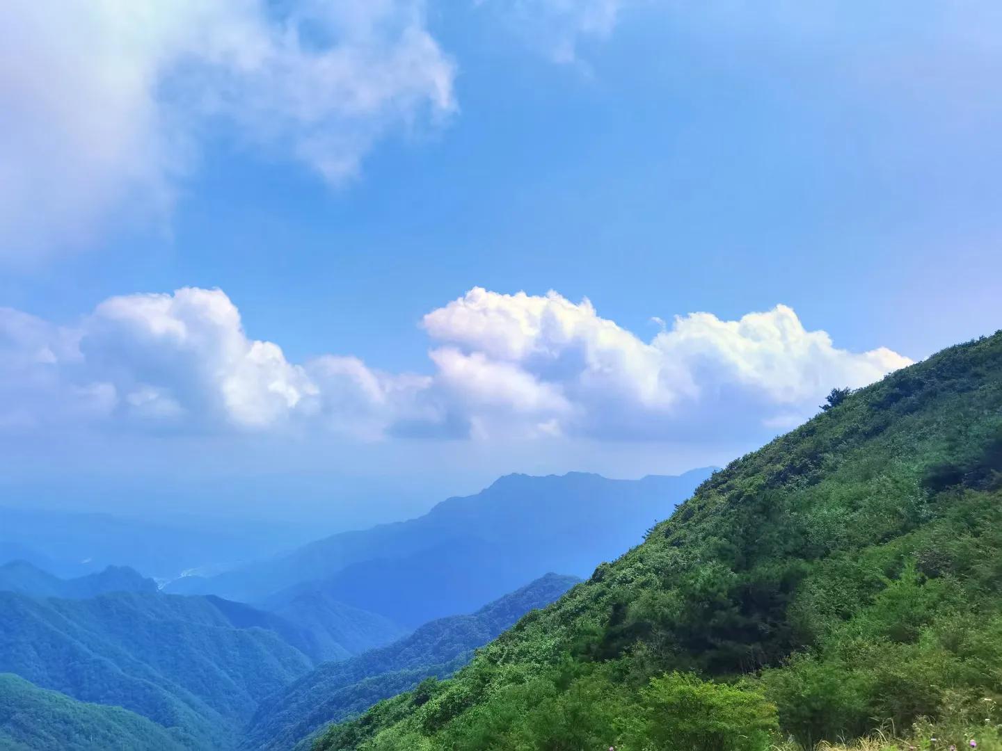 情感论坛情感天地,情感电台