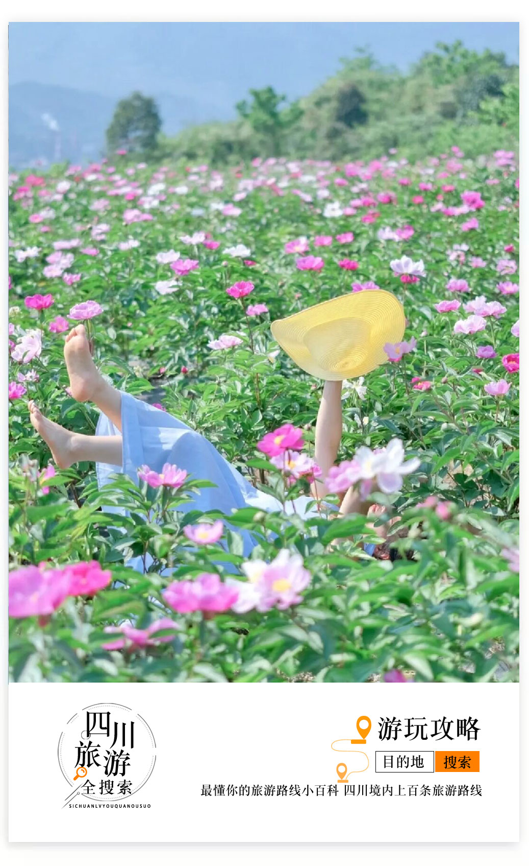 成都芍药花海景区,成都市内芍药花海