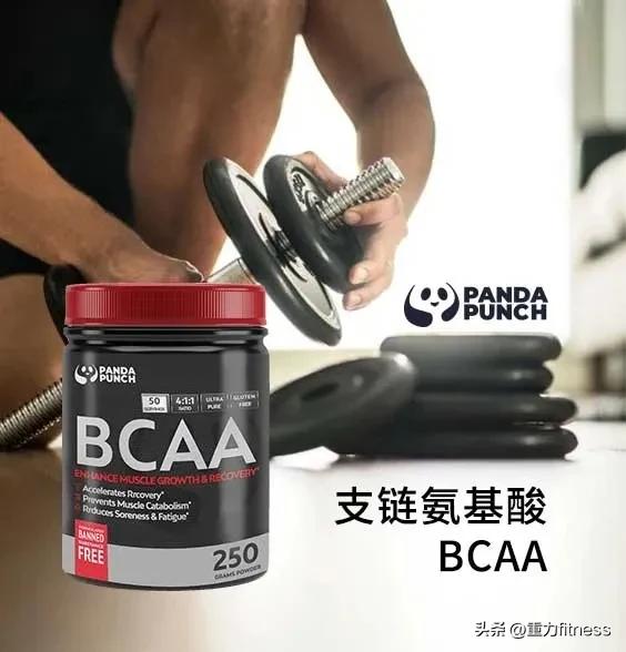 bcaa运动补剂支链氨基酸,健身支链氨基酸和肌酸搭配